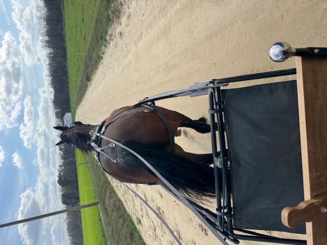 Why Most Small Business Websites Sound the Same (And How to Fix Yours)