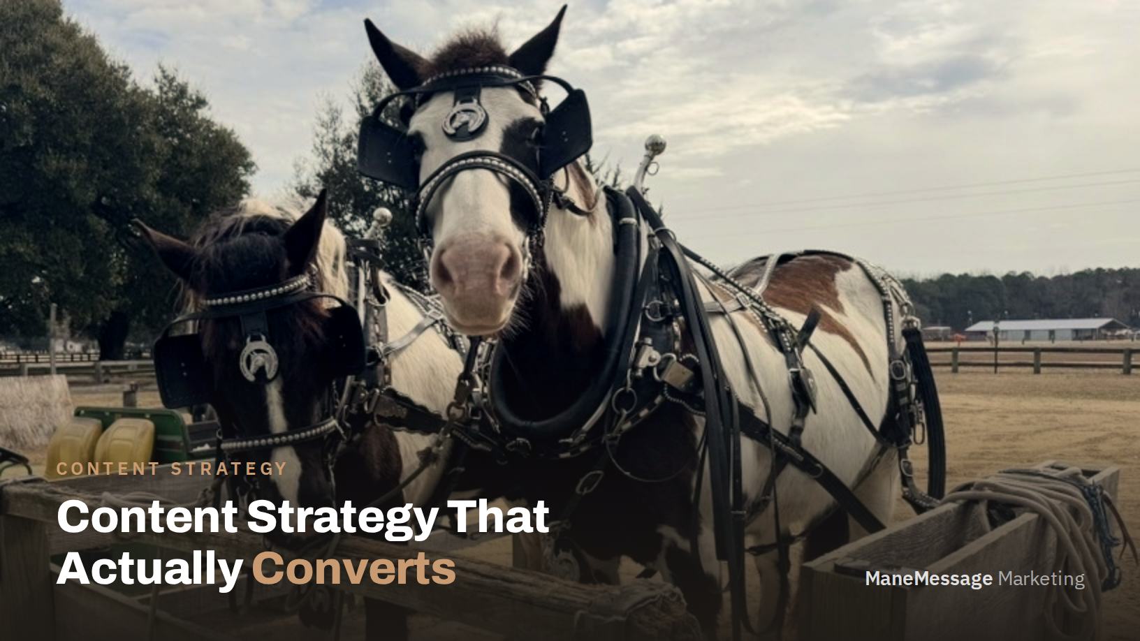 How Equine and Pet Businesses Can Build a Content Strategy That Actually Converts