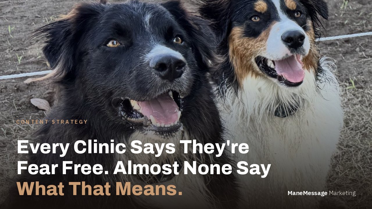 Every Clinic Says They're Fear Free. Almost None Say What That Means.