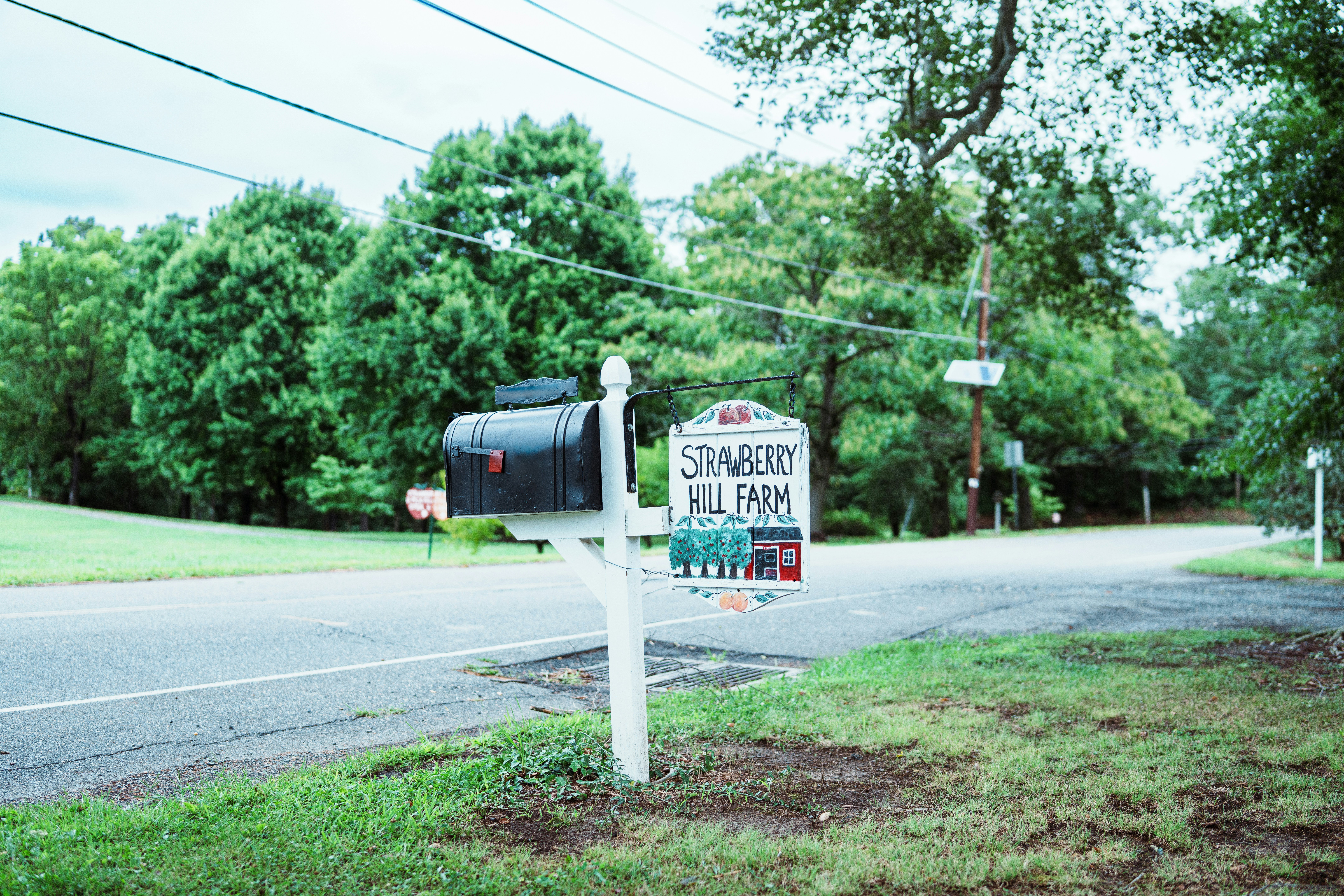 Why Your Email List Is Your Most Valuable Asset