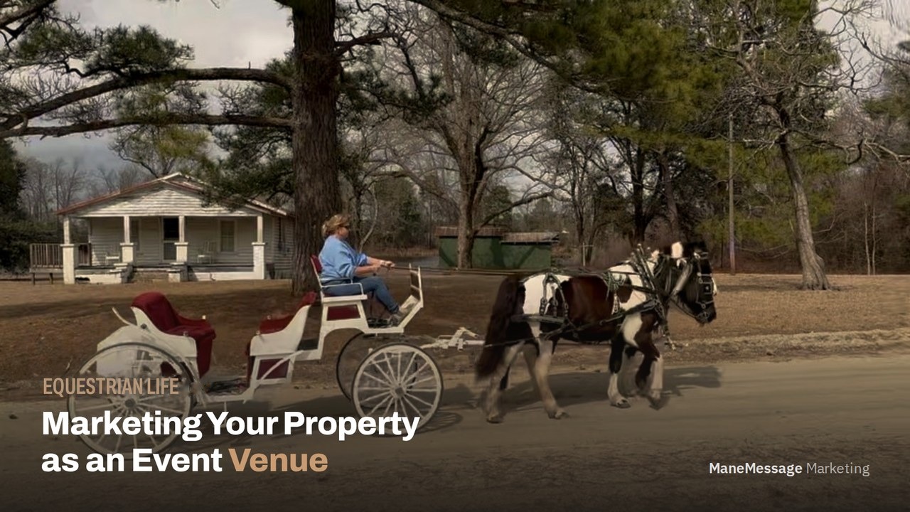 Beyond Boarding: How to Market Your Equestrian Property as an Event Venue